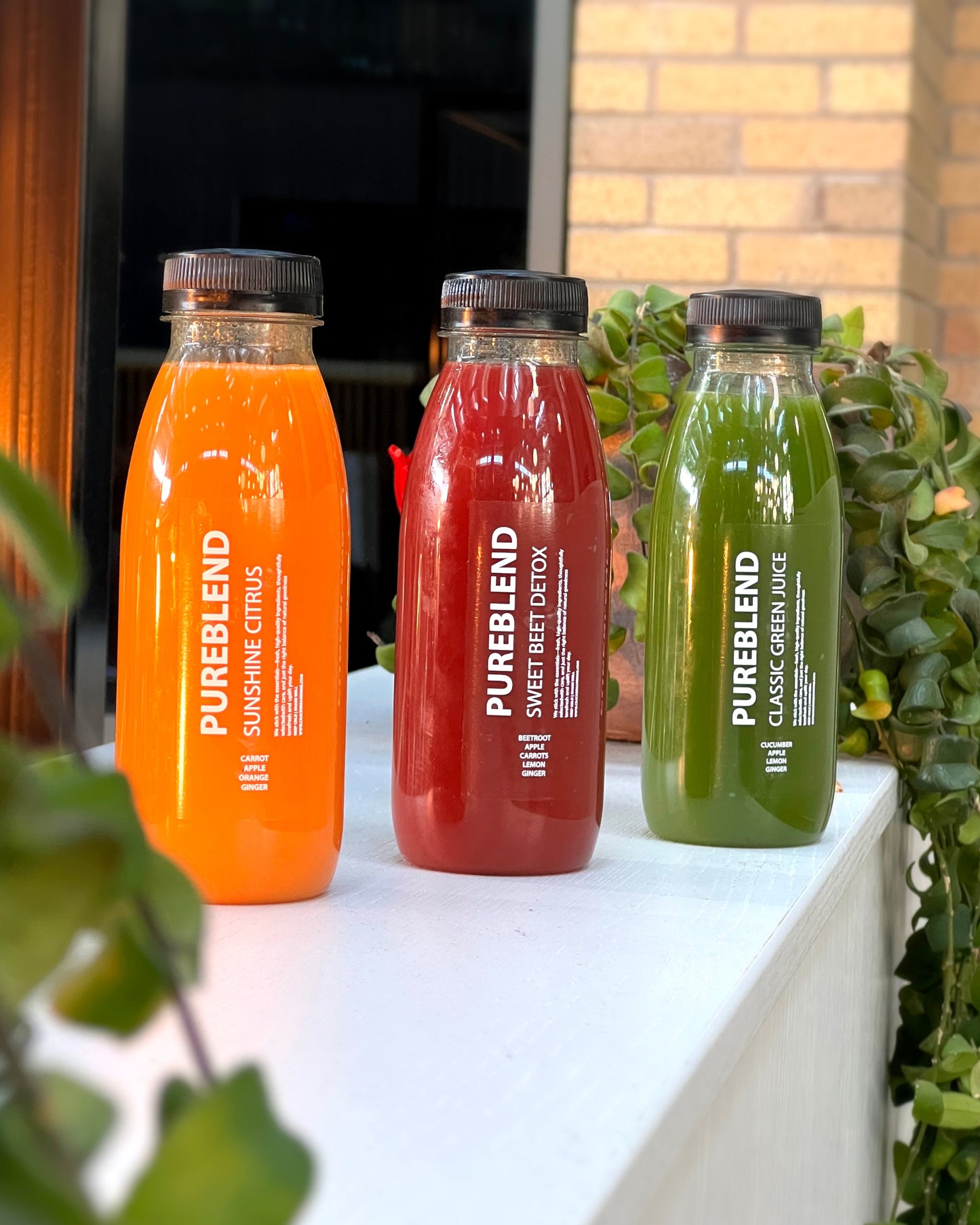 PureBlend Juice - Classic Green Juice | Pack of 10