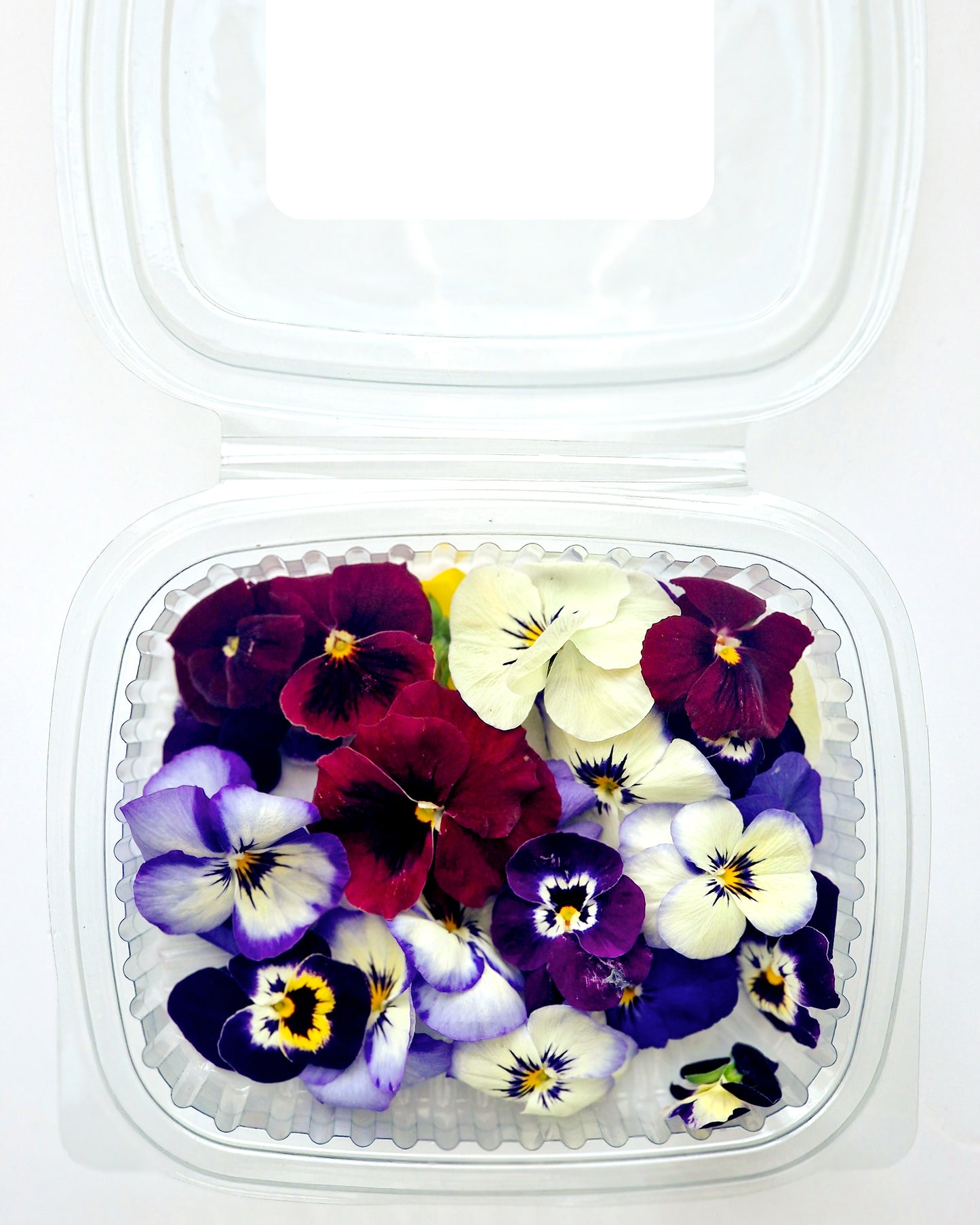 Viola Edible Flowers Pack of 6