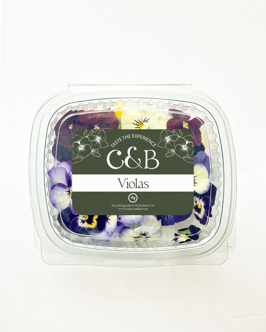 Viola Edible Flowers Pack of 6